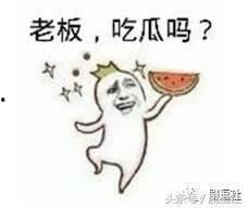 11吃瓜群众,11位吃瓜群众眼中的娱乐圈风云