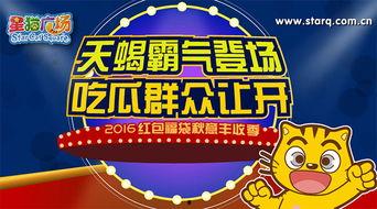 天蝎座吃瓜群众,揭秘星座背后的八卦风云