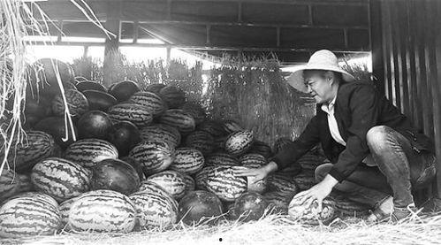 吃瓜群众岱岱原名,揭秘吃瓜群众背后的故事