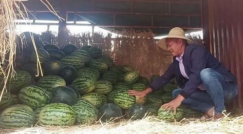 吃瓜群众岱岱知识圈链接,带你探索未知领域的奥秘