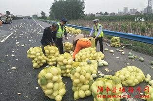 温州同城吃瓜群众,吃瓜群众热议本地新鲜事