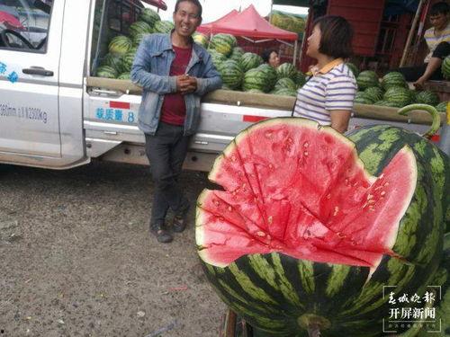 温州同城吃瓜群众,吃瓜群众热议本地新鲜事