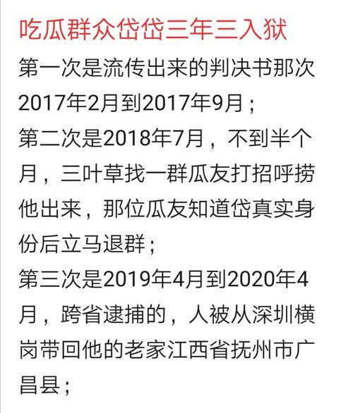 吃瓜群众岱岱助理,网络红人的幕后故事
