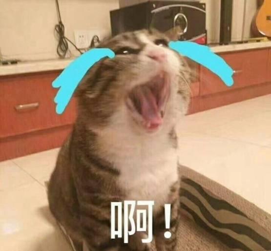 吃瓜群众羡慕表情图,揭秘吃瓜群众羡慕表情图背后的秘密