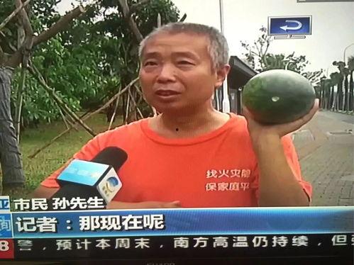 吃瓜群众刺激事件,刺激事件背后的真相揭秘