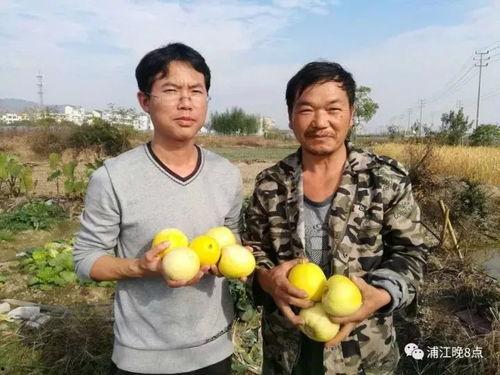 吃瓜群众株洲,吃瓜群众眼中的城市风采