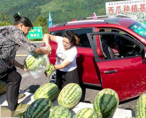 群众吃瓜怎么拍摄,镜头下的趣味生活