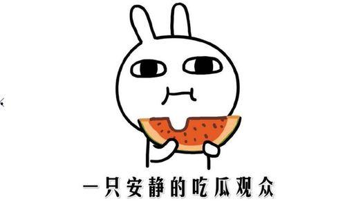 吃瓜群众吐舌听歌,尽享音乐狂欢