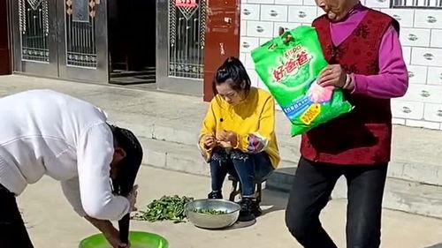 吃瓜群众的女儿,吃瓜群众女儿的甜蜜成长记