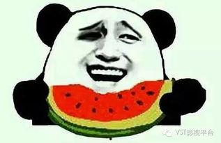 黑社会吃瓜群众是什么,揭秘“吃瓜群众”的神秘面纱