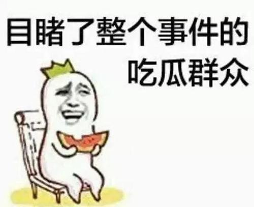吃瓜群众qyx,揭秘娱乐圈背后的那些事儿
