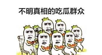 吃瓜群众图片大全集,趣味横生的社会百态缩影