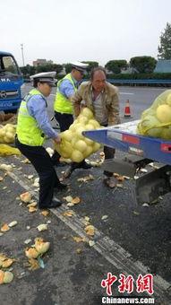 大凉山吃瓜群众,吃瓜群众的独特生活画卷