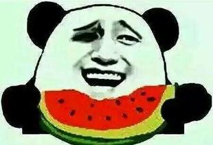 吃瓜群众关注的瓜事,吃瓜群众聚焦最新瓜事盘点