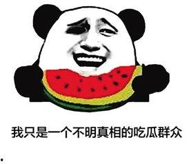 网络用语吃瓜群众的意思,网络时代的围观者众生相