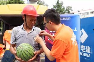 城固吃瓜群众事件真相,揭秘背后真相与反思