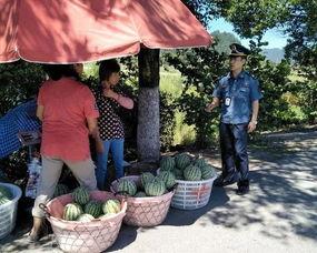 吃瓜群众井川,吃瓜群众的趣味生活与独特见解